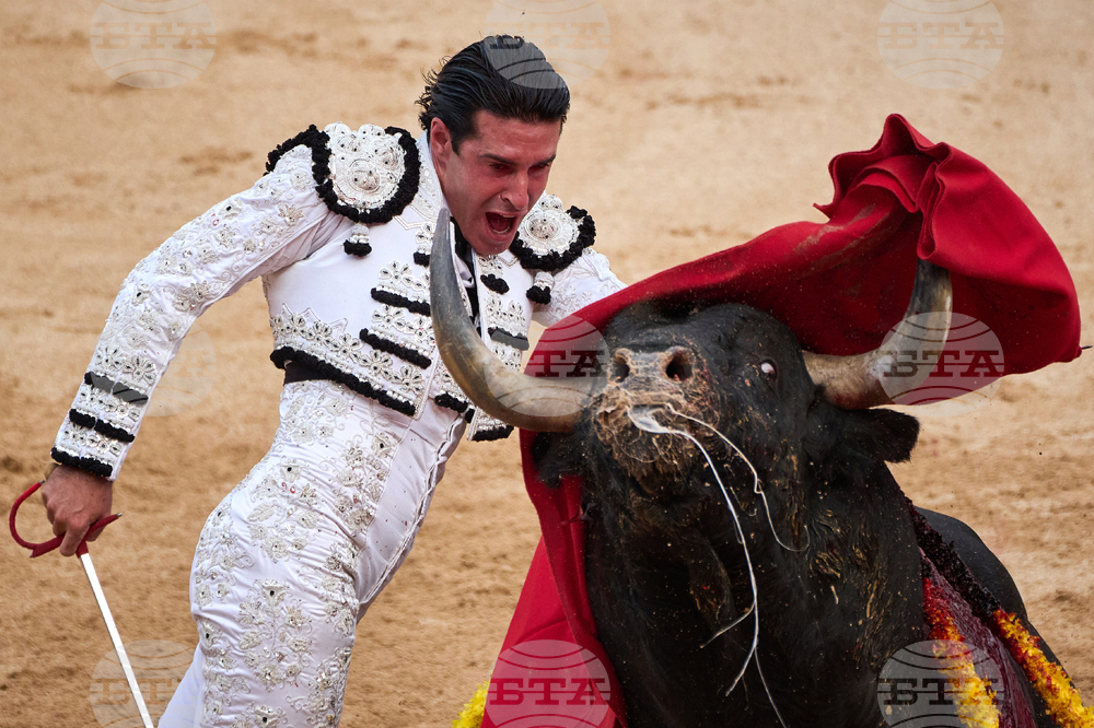 Spain Running of the Bulls