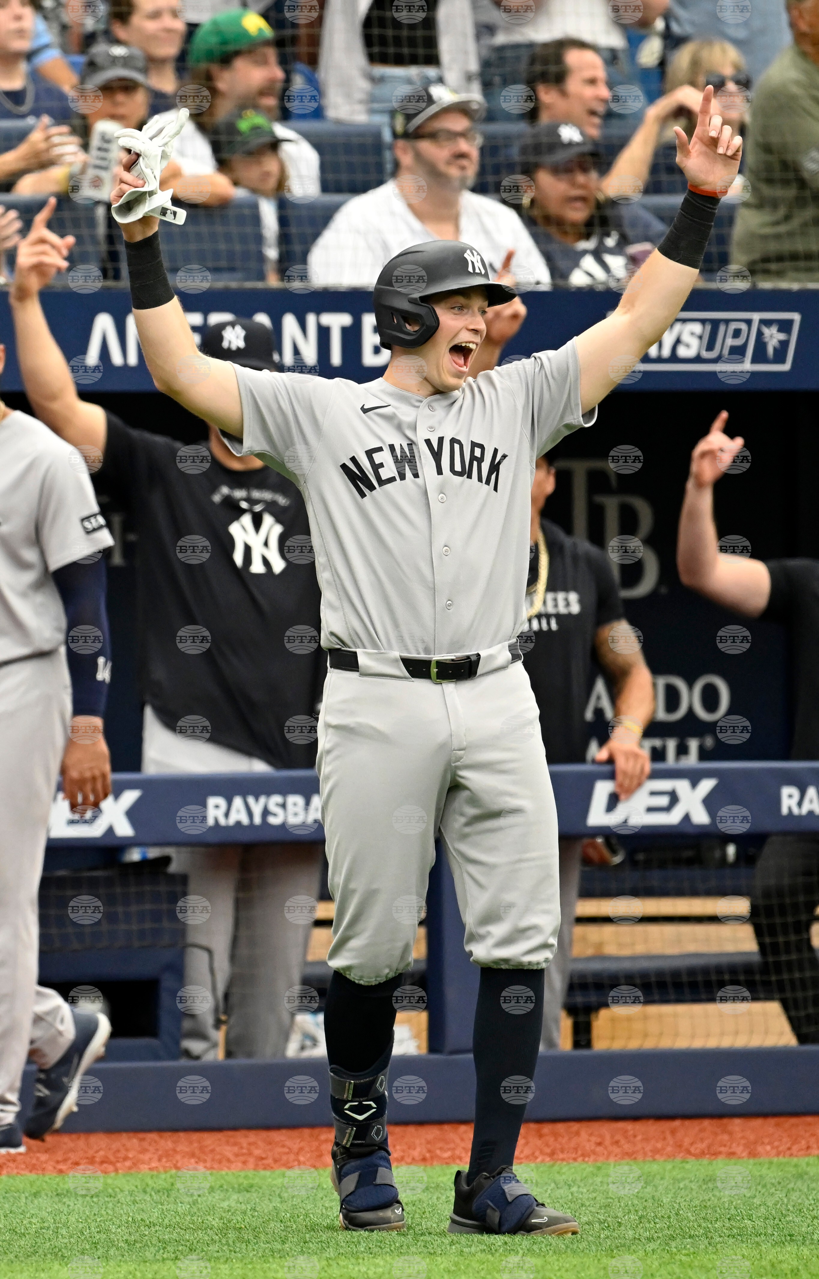 Yankees Rays Baseball