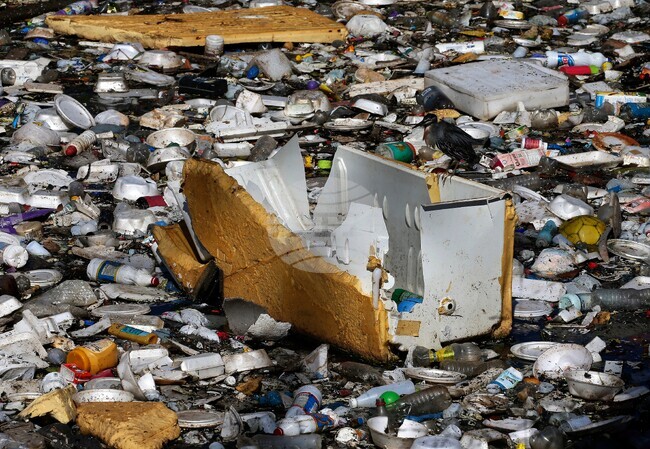 APTOPIX Brazil Amazon Trash
