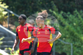 Belgium Wcup Soccer