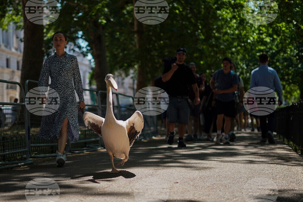 APTOPIX Britain Daily Life