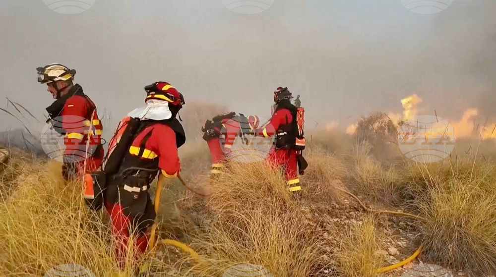 Spain Wildfire