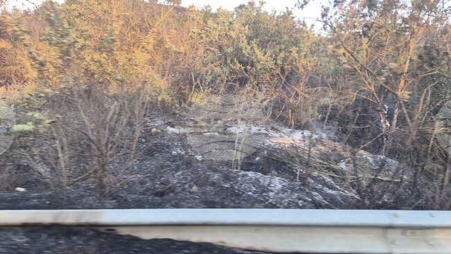 Пожар гори в района на село Лешница в района на Сандански 