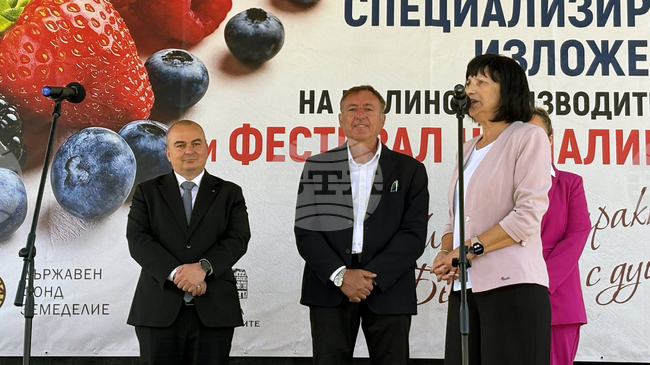 Външнотърговското салдо при малините е положително, заяви министърът на земеделието Пламен Абровскии при откриването на "Фестивала на малината" в Самоков
