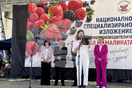 Самоков - Фестивал на малината - откриване