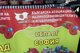 Самоков - Фестивал на малината - откриване