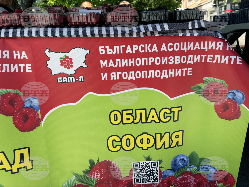 Самоков - Фестивал на малината - откриване
