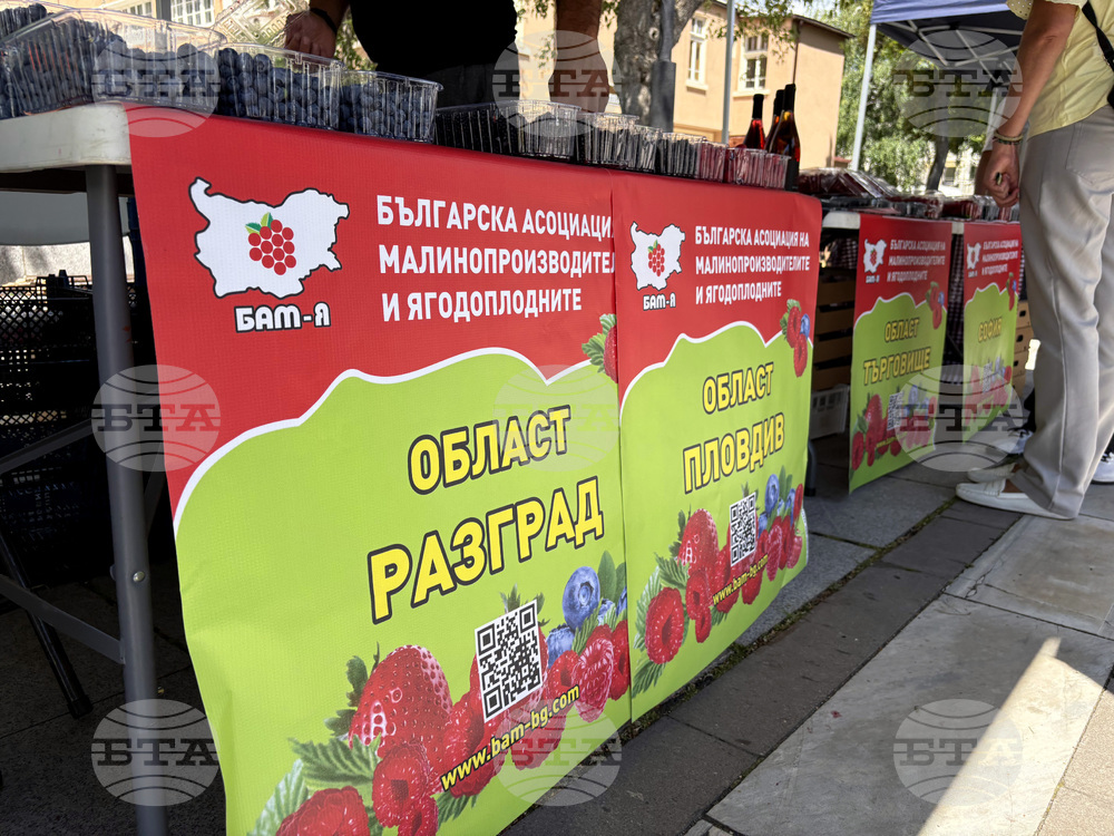Самоков - Фестивал на малината - откриване