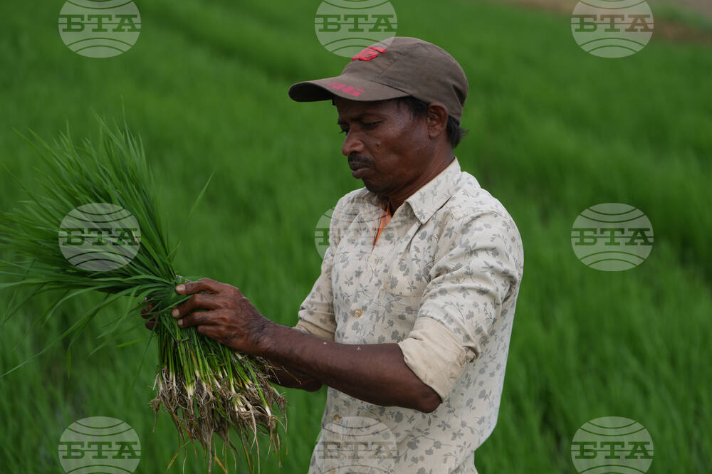 India Monsoon Agriculture