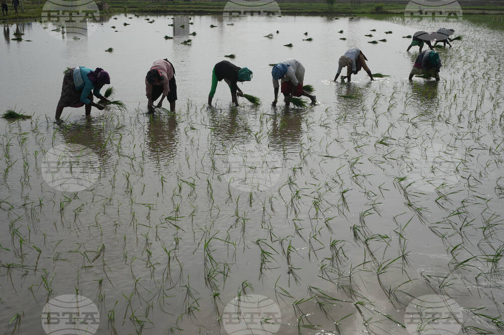 India Monsoon Agriculture