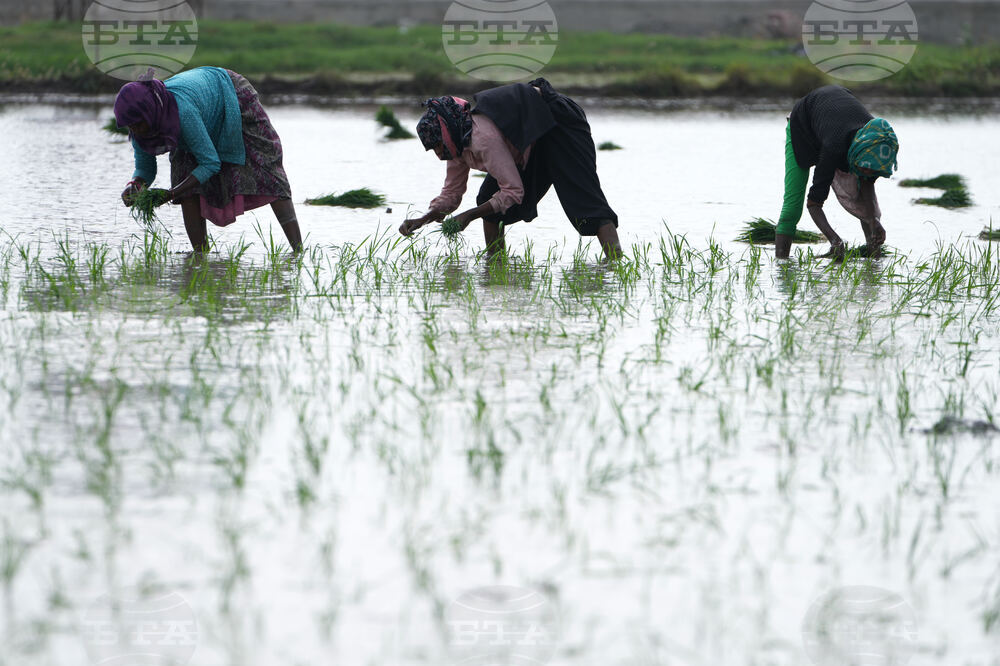 India Monsoon Agriculture