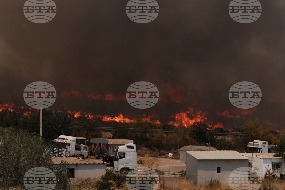 Spain Wildfire