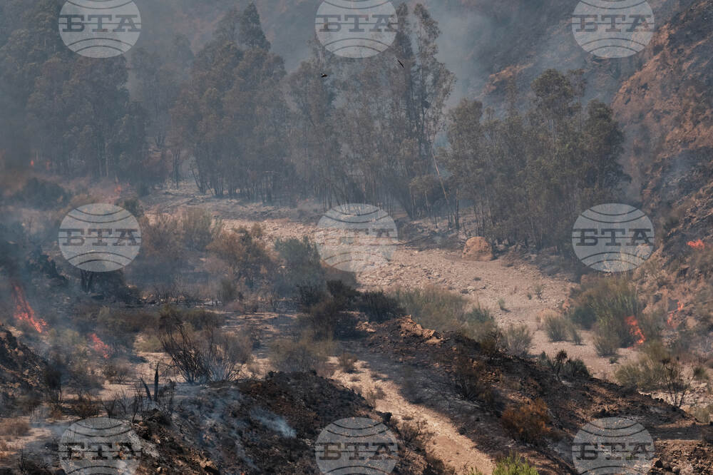 Spain Wildfire