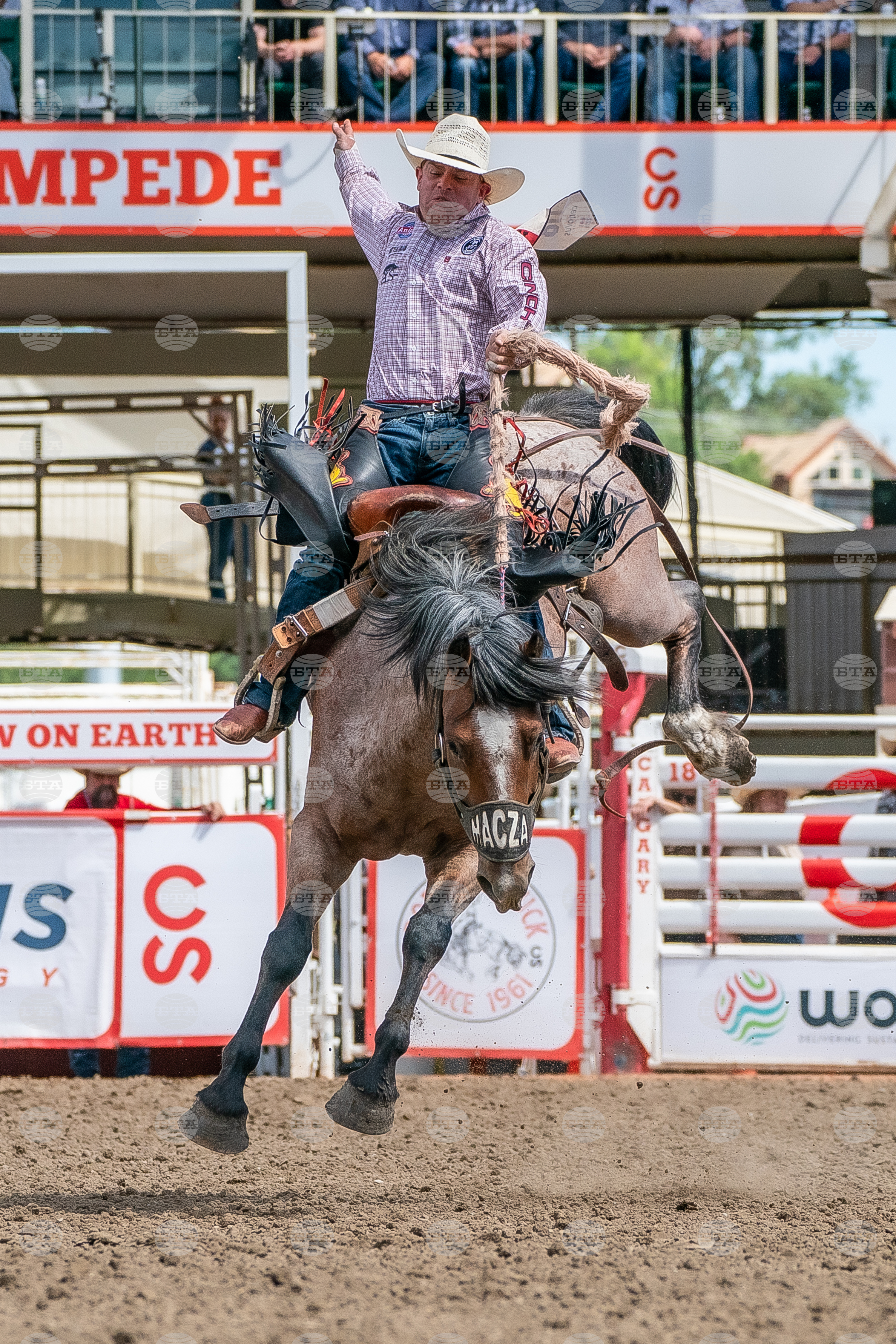2026 Calgary Stampede