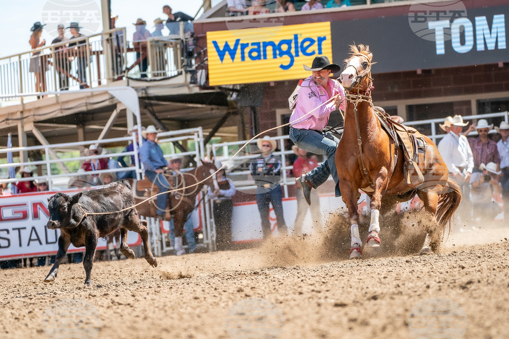 2026 Calgary Stampede