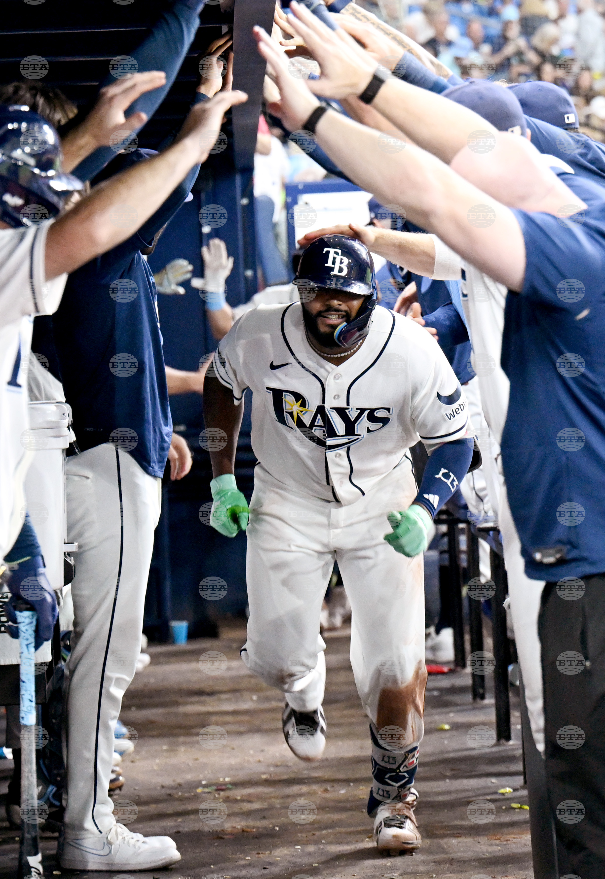 Mariners Rays Baseball