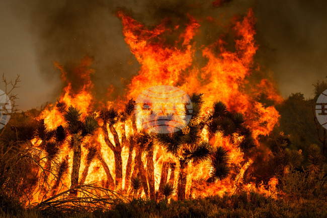 California Wildfire