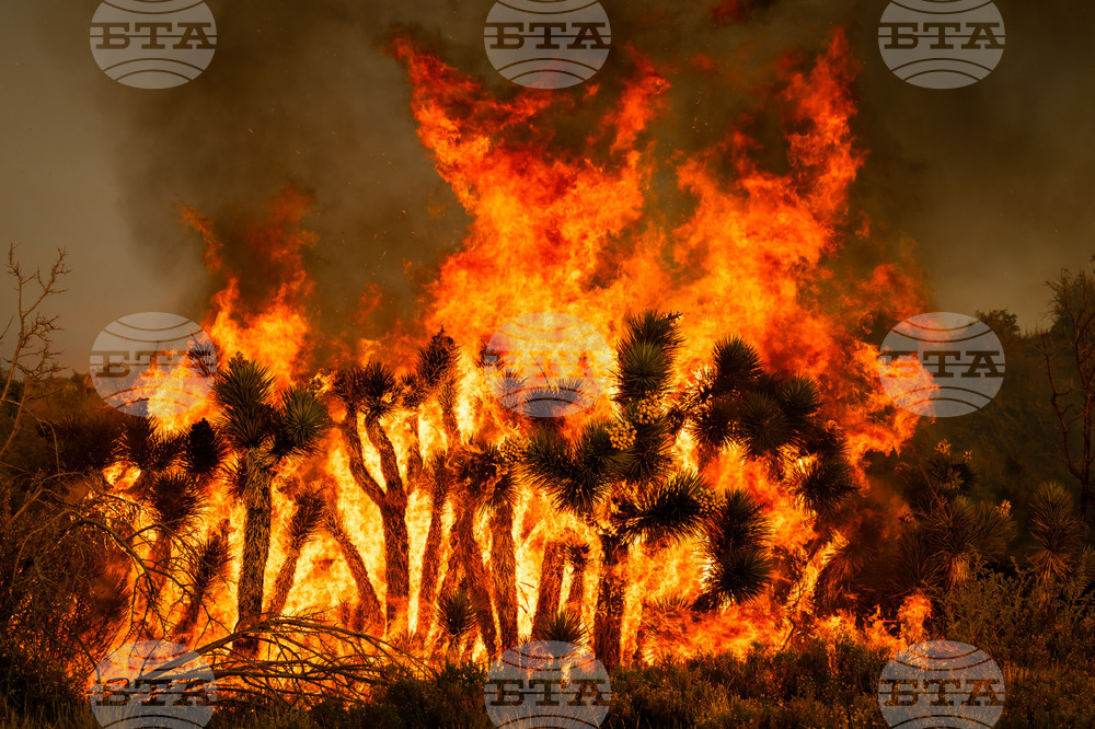 California Wildfire