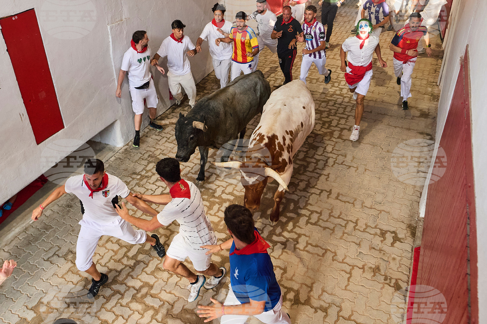 Spain Running of the Bulls