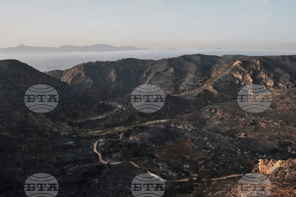 Spain Wildfire