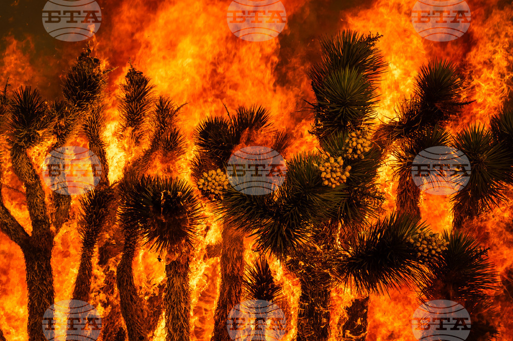 APTOPIX California Wildfire