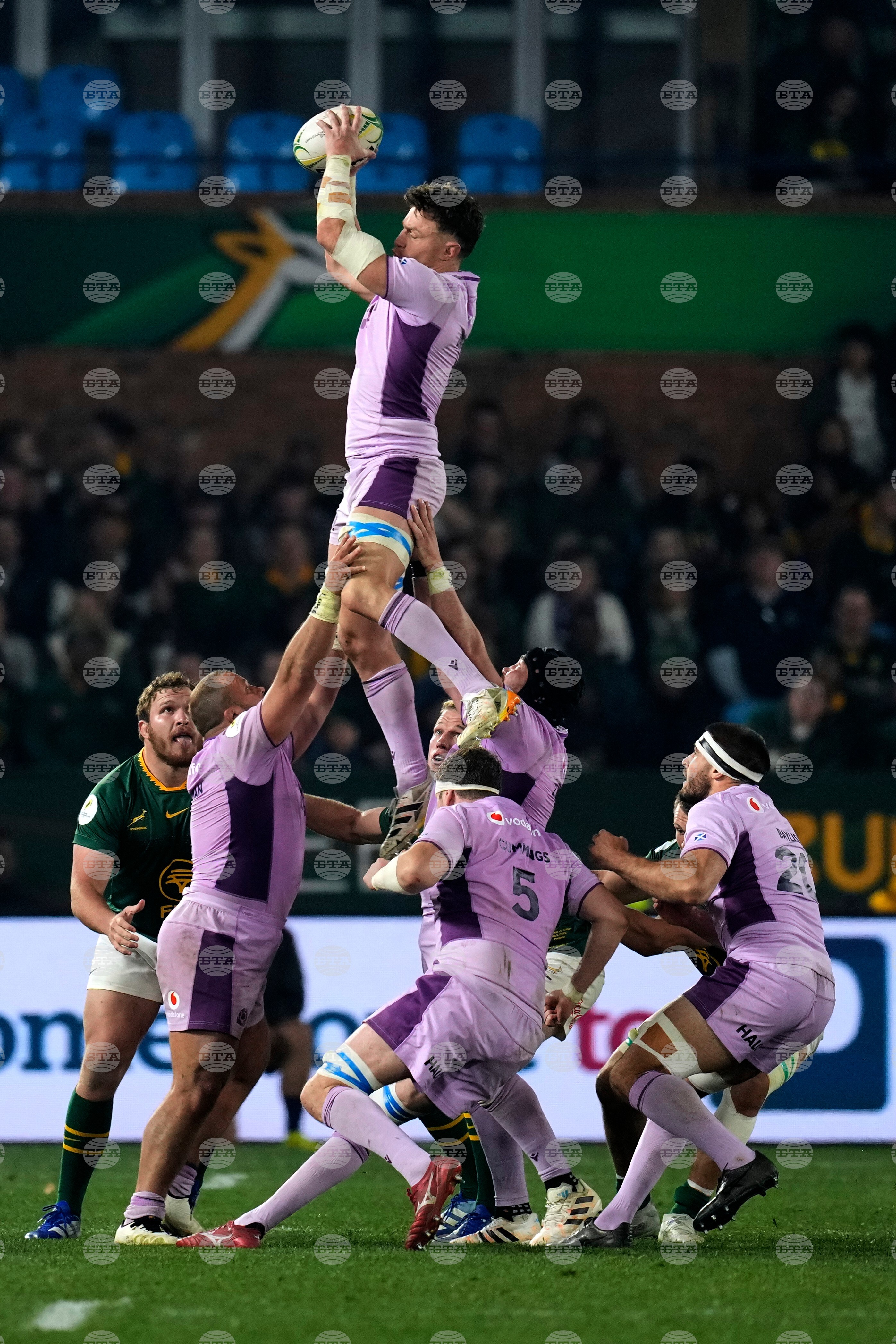 South Africa Scotland Rugby