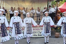 Село Гомотарци - събор - откриване