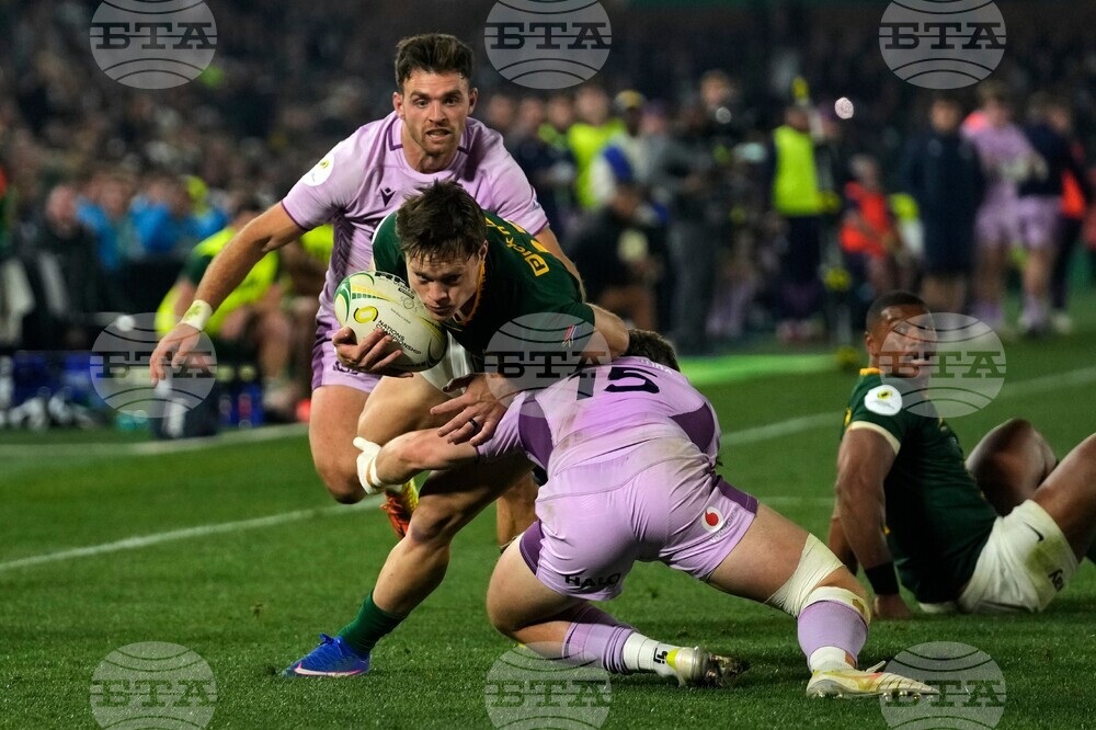 South Africa Scotland Rugby