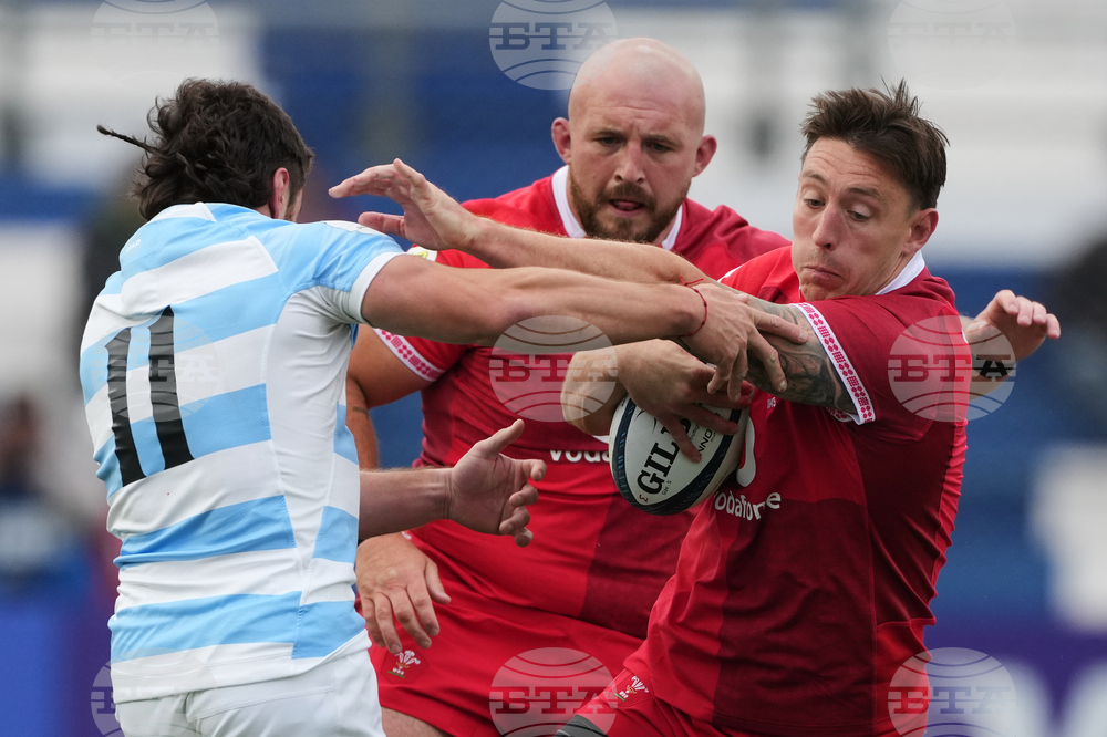 Argentina Wales Rugby