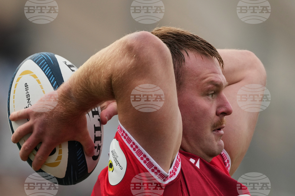 Argentina Wales Rugby