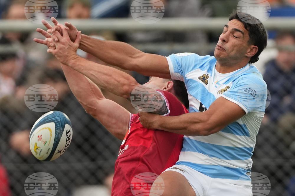 Argentina Wales Rugby