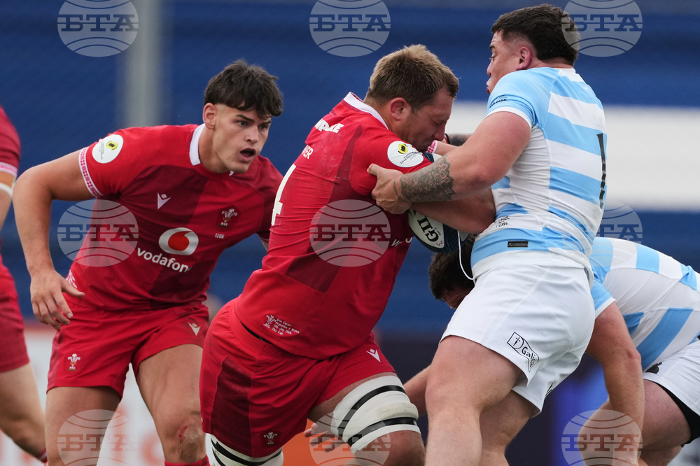 Argentina Wales Rugby