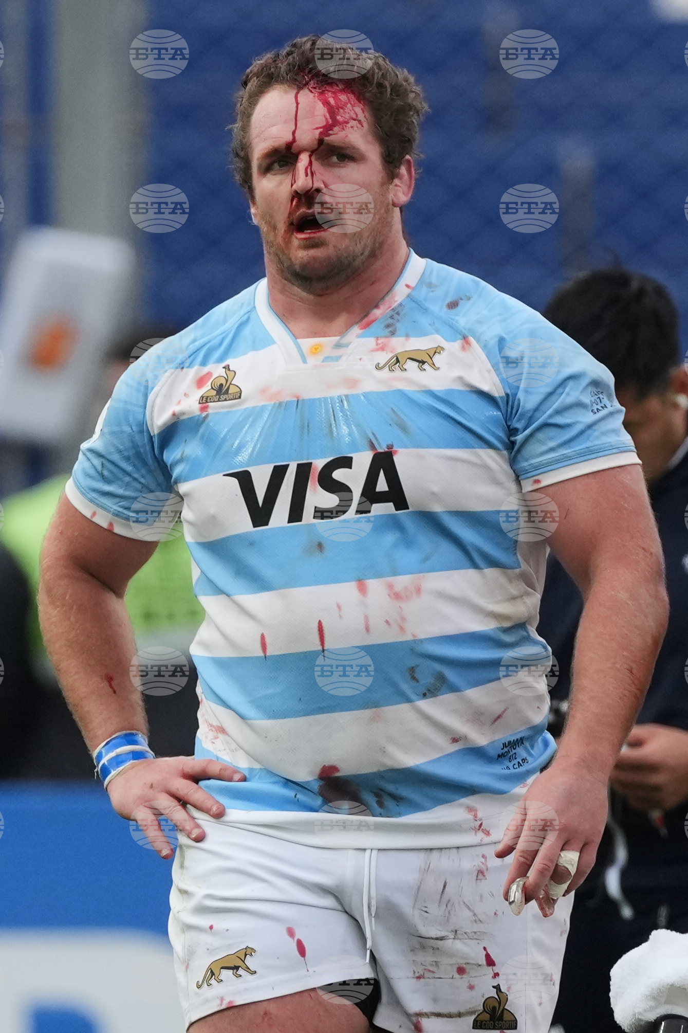 Argentina Wales Rugby