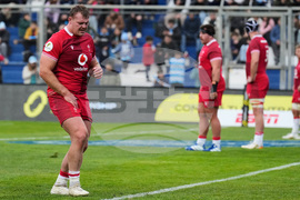 Argentina Wales Rugby