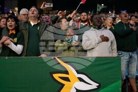 South Africa Scotland Rugby