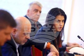 Комисия по икономическа политика и иновации - Десислава Трифонова