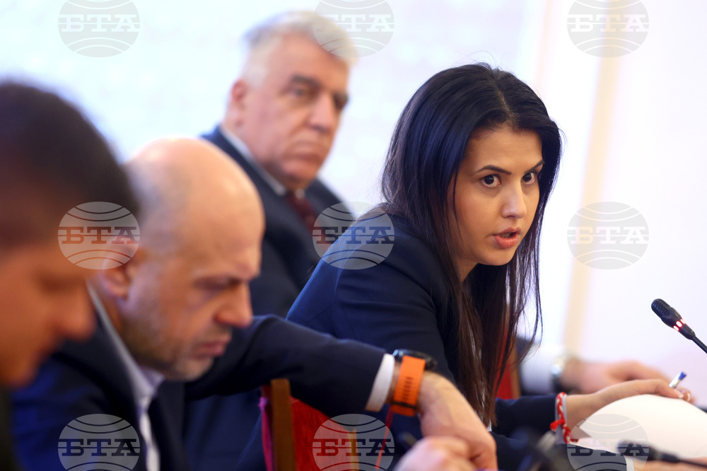 Комисия по икономическа политика и иновации - Десислава Трифонова