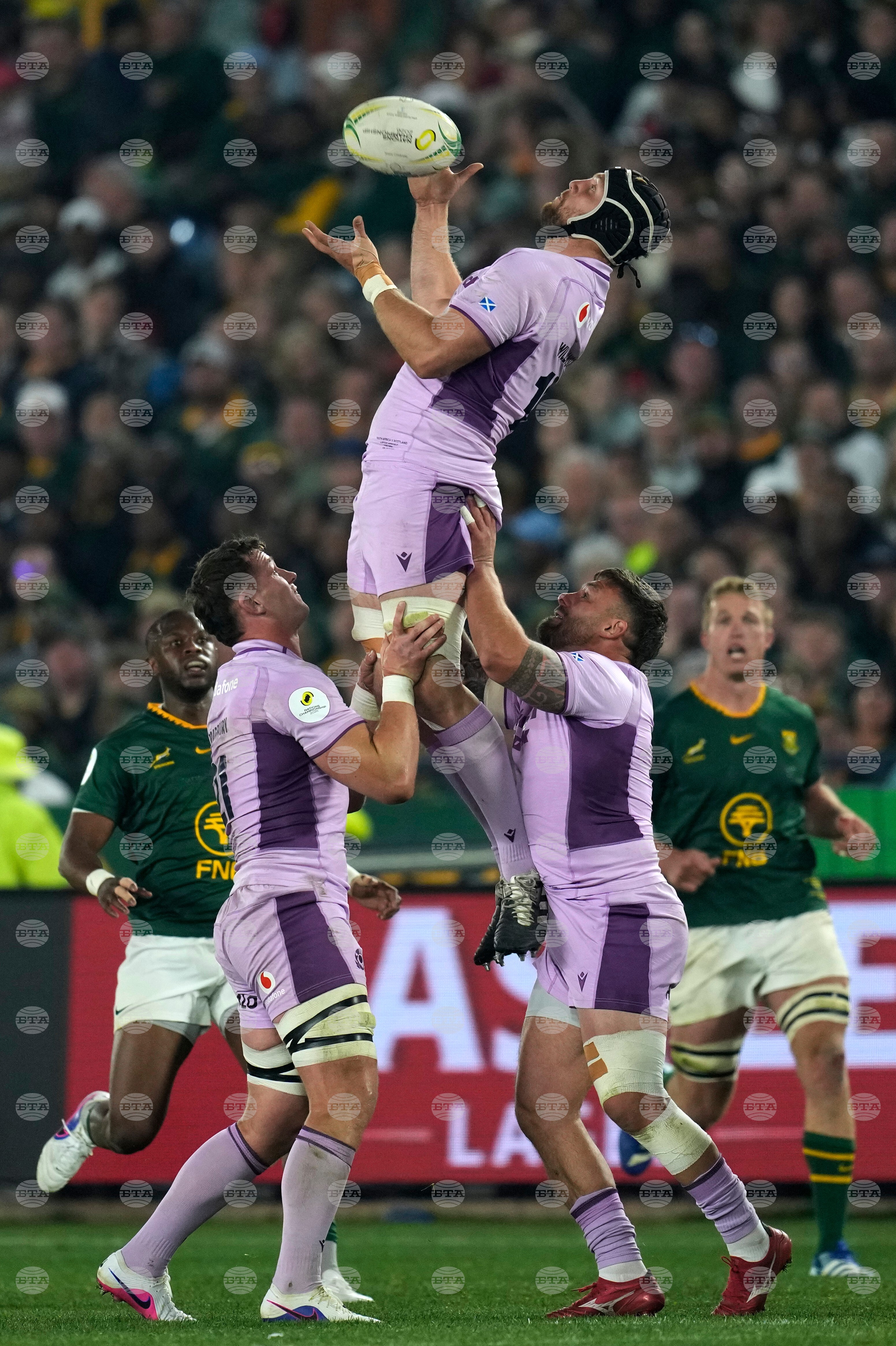 South Africa Scotland Rugby