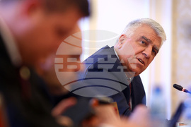 Комисия по икономическа политика и иновации - Румен Гечев