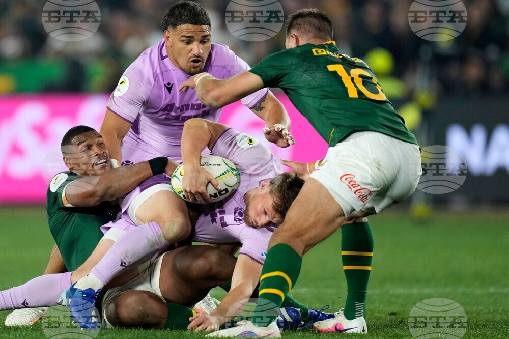 South Africa Scotland Rugby
