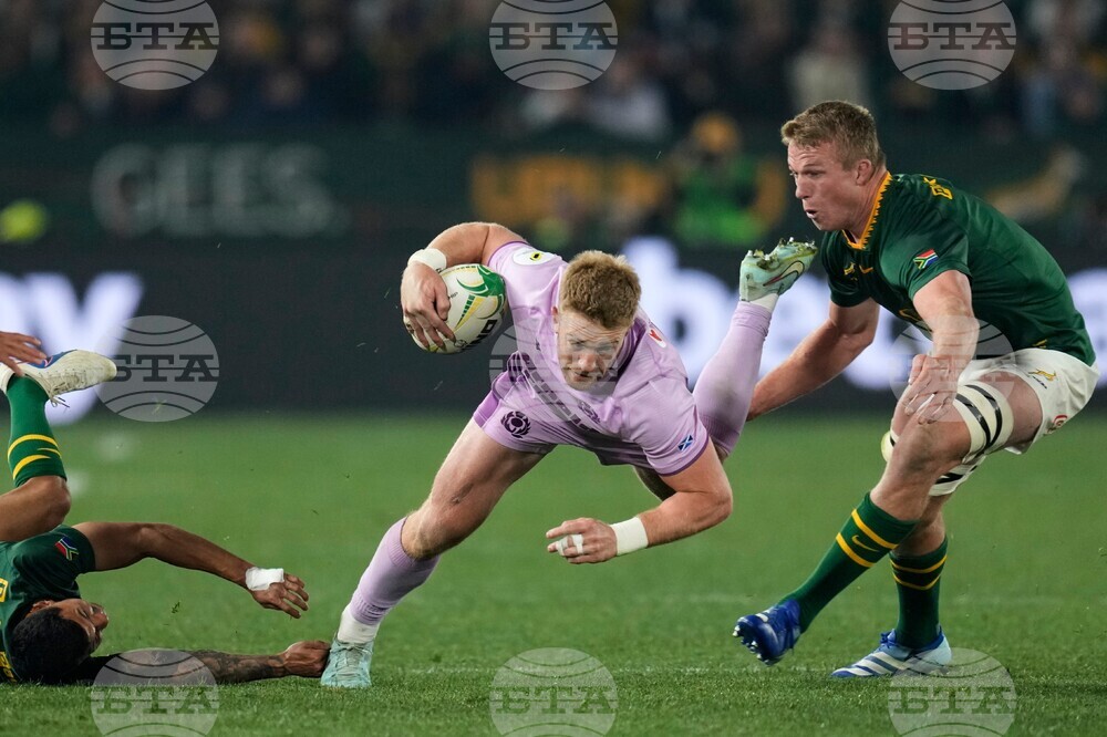 South Africa Scotland Rugby