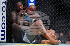 UFC 329 Mixed Martial Arts