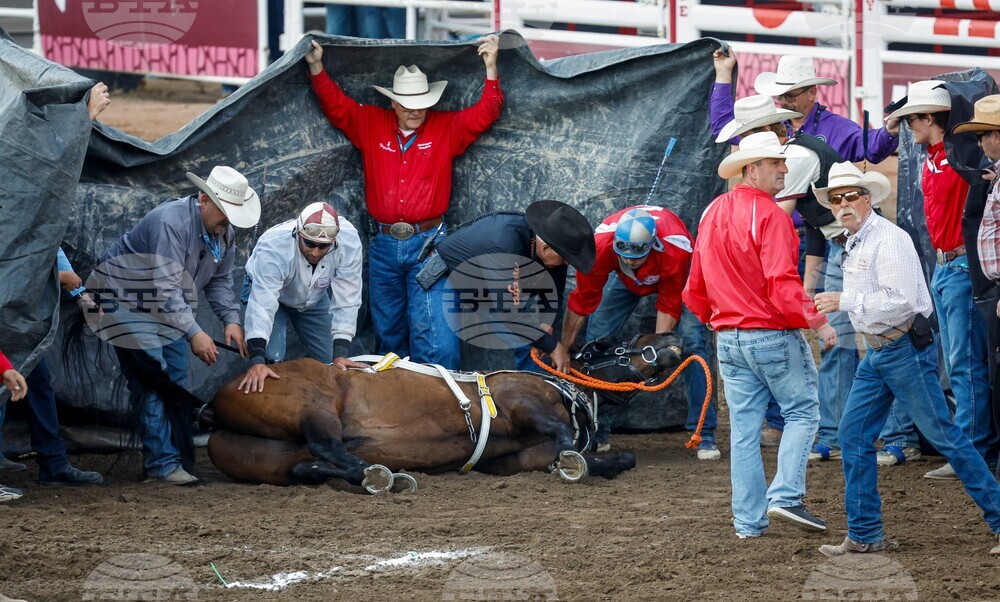 Calgary Stampede
