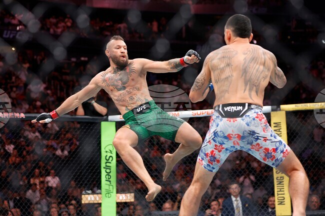 UFC 329