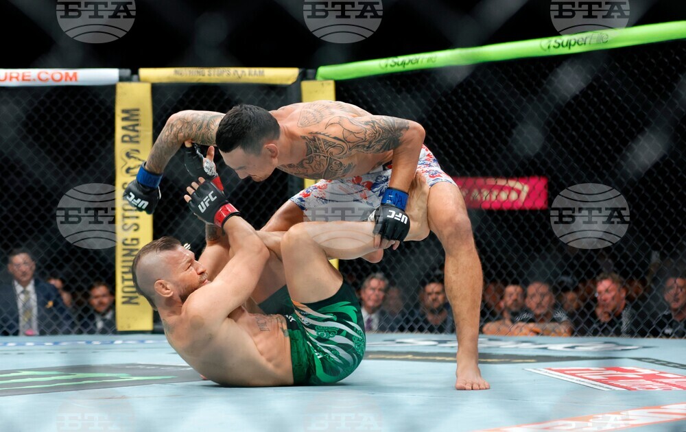 UFC 329