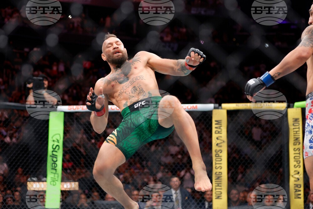 UFC 329