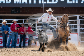 2026 Calgary Stampede