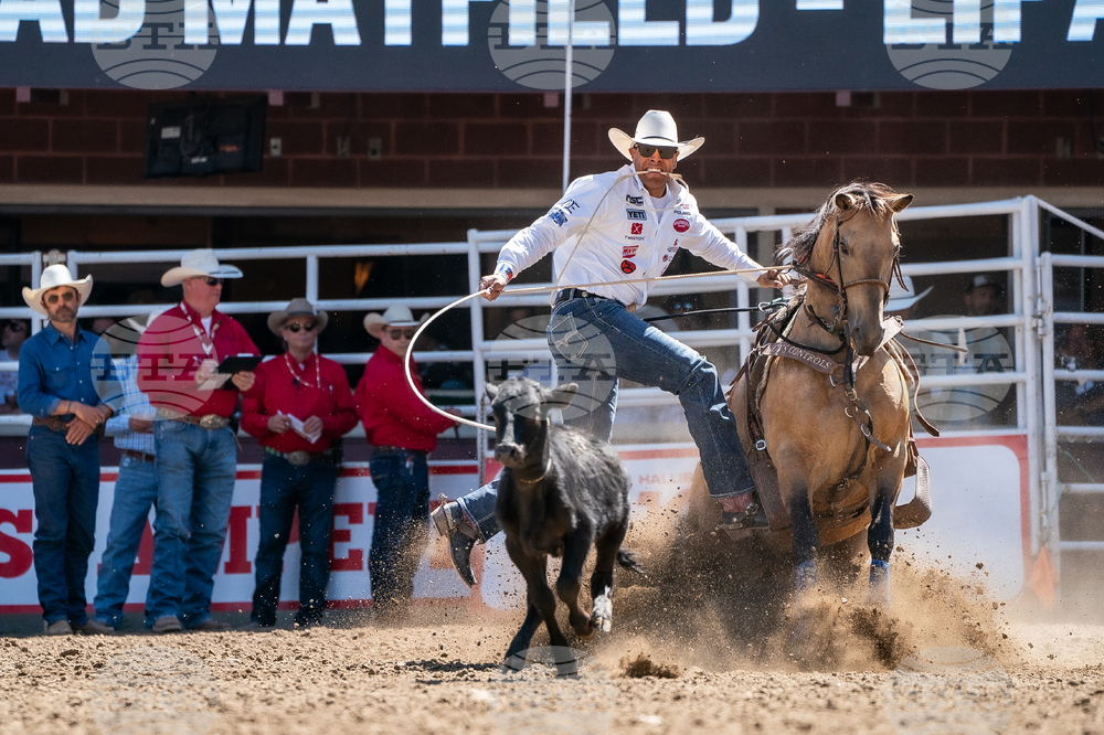 2026 Calgary Stampede