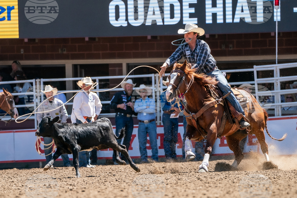 2026 Calgary Stampede