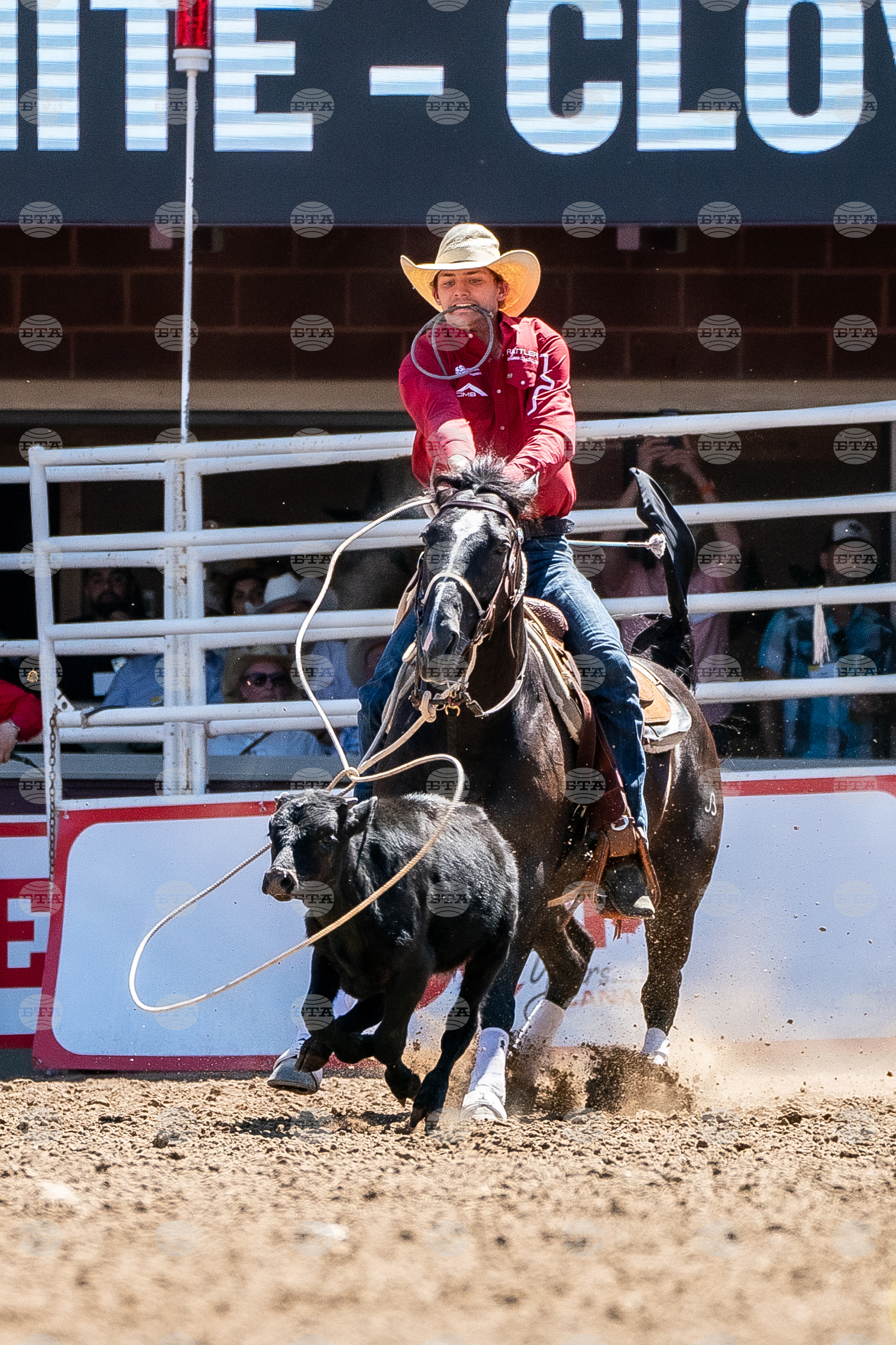 2026 Calgary Stampede